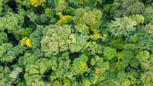 Boostez votre carrière : Stratégies innovantes pour créer des systèmes d'énergie renouvelable au service des communautés rurales