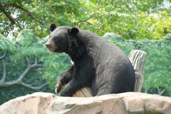 Technologies Innovantes : Boostez l'Efficacité de votre Médecin Traitant